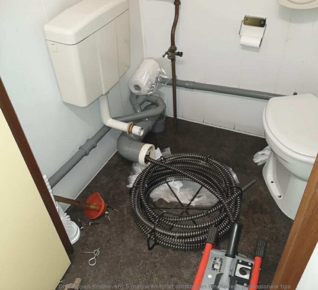5 manieren toilet ontstoppen Eindhoven: professionele tips