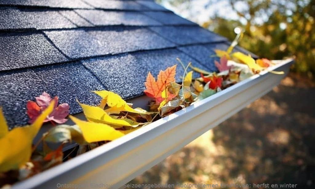 Seizoensgebonden rioolproblemen Eindhoven: herfst en winter