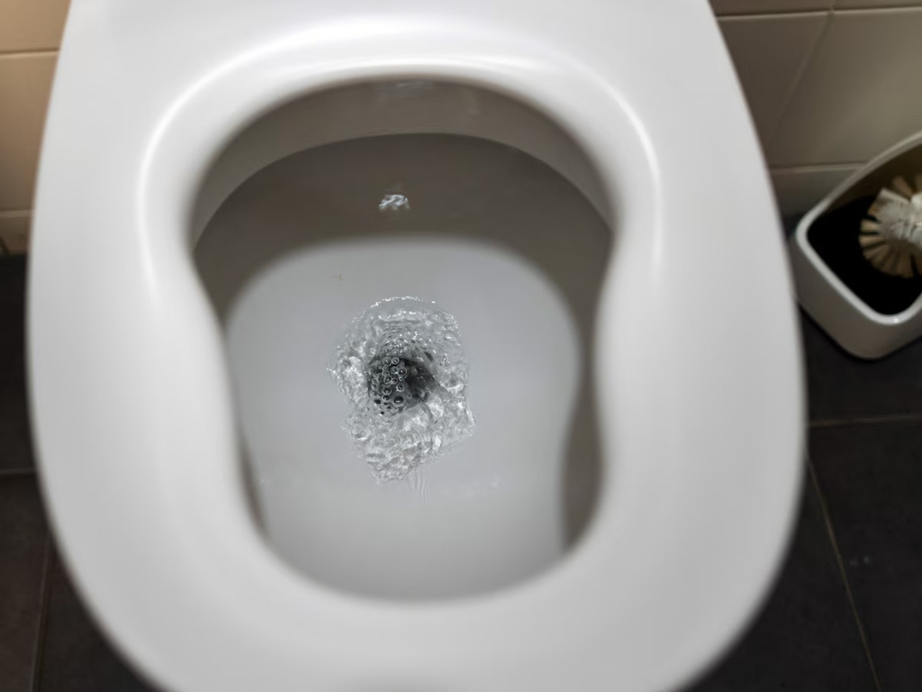 Wat Nooit Door Je Wc Spoelen Wat Nooit Door Je Wc Spoelen